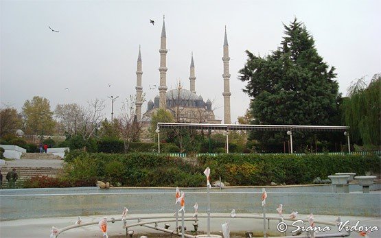 Edirne, Turkkey